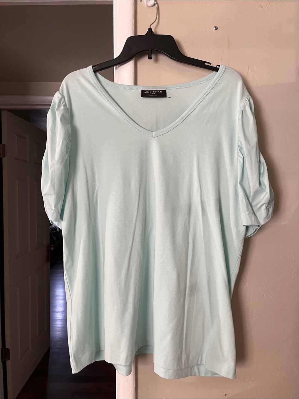 Lane Bryant Mint Green V-Neck Puff Sleeve Top